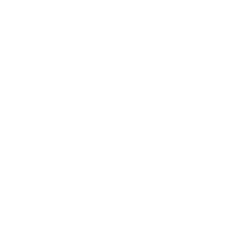 Sentitec Icon