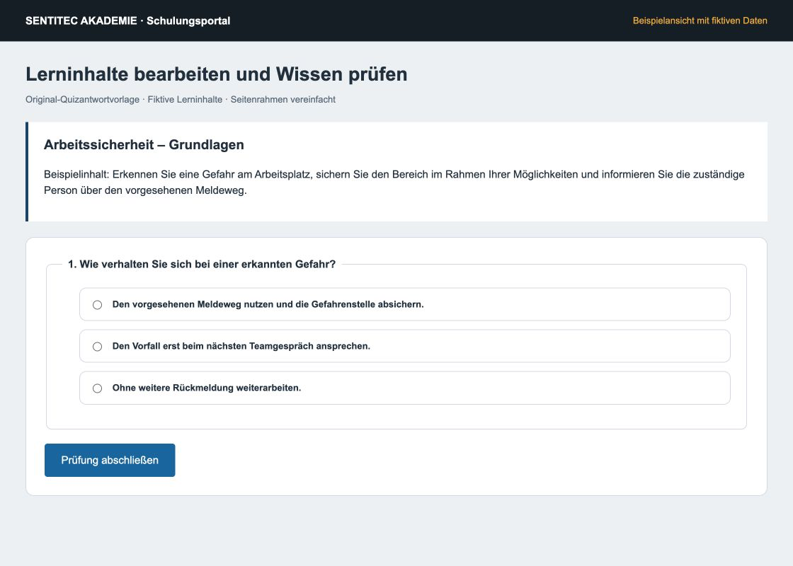Quizantwortvorlage mit fiktivem Lerninhalt und drei Antwortmöglichkeiten